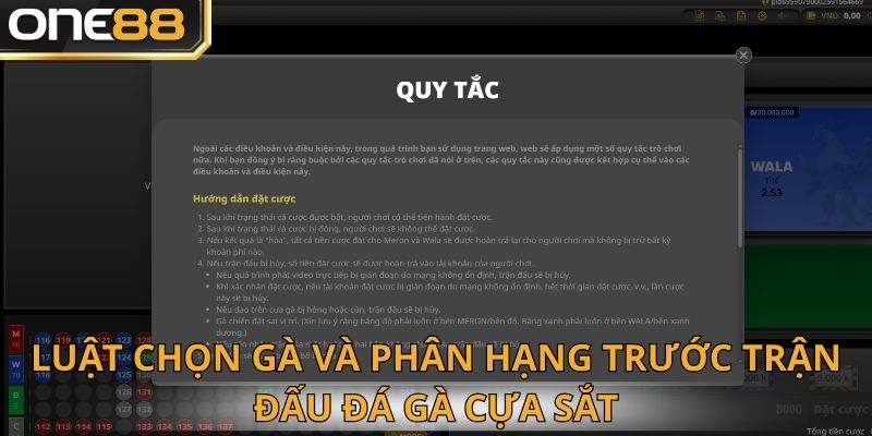 Luật chơi đá gà cựa sắt chi tiết