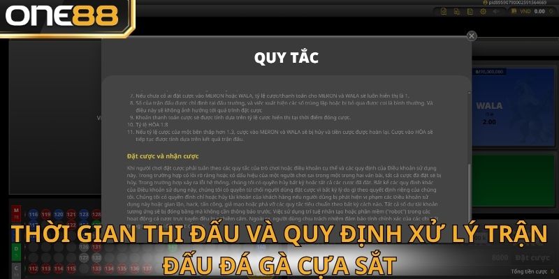 Thời gian quy định khi chơi đá gà cựa sắt
