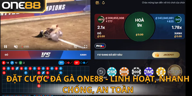 Chi tiết cách đặt cược tại đá gà One88