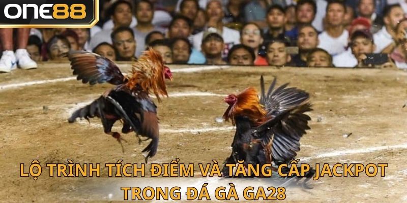 Lộ trình tích điểm bạn cần nắm