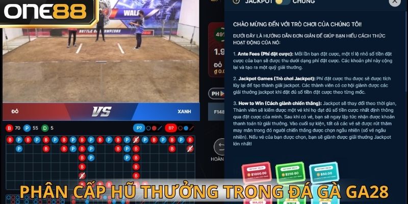 Phân cấp trong đá gà Ga28 chi tiết