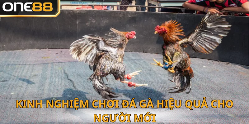 Kinh nghiệm siêu đỉnh cao để thắng lớn