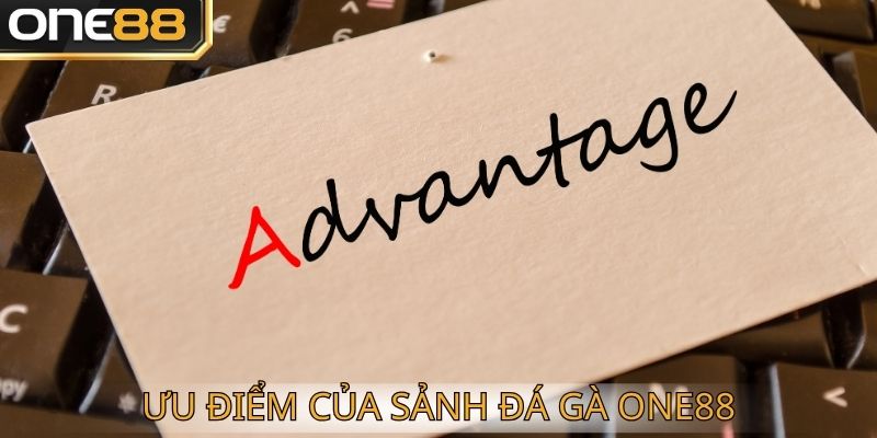 đá gà