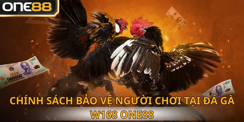 Những chính sách One88 bảo vệ người chơi