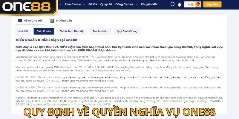 Điều khoản One88 về quyền và nghĩa vụ người dùng